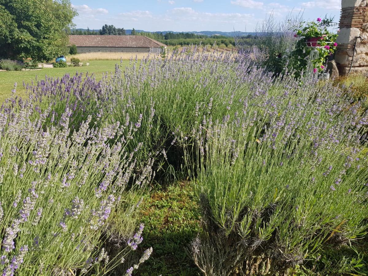 Le Clos Du Murier * Fongrave