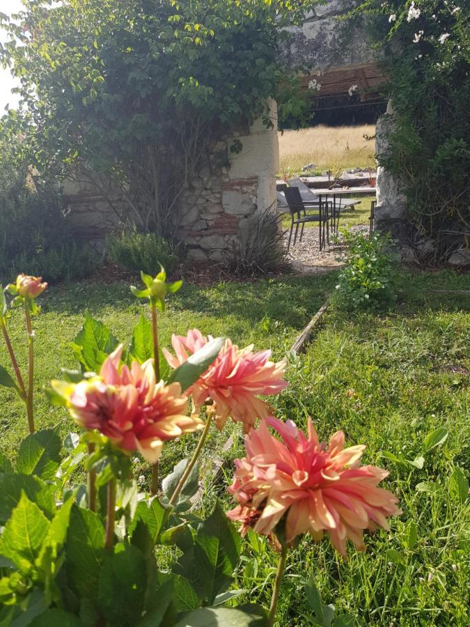 Le Clos Du Murier