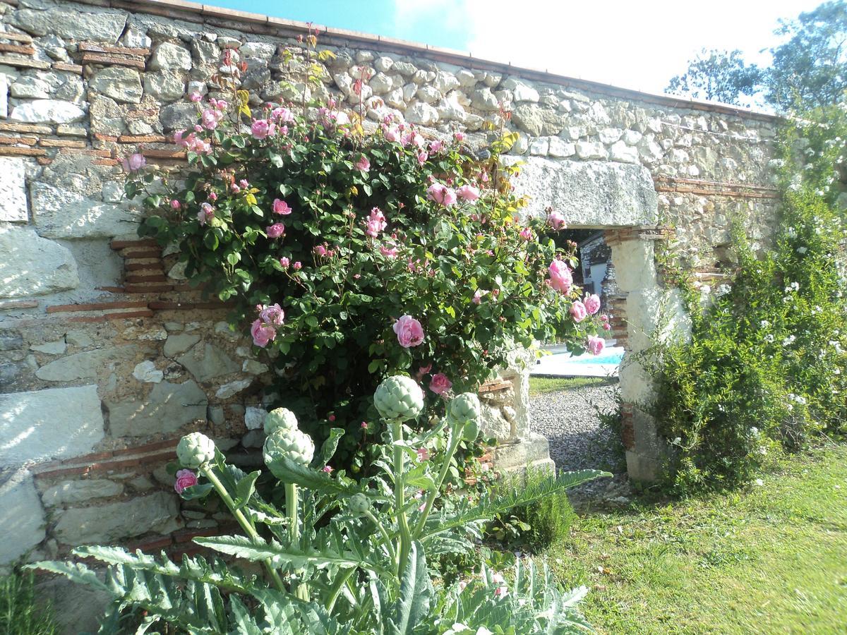 Le Clos Du Murier * Fongrave